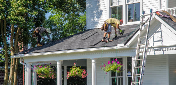 Best Roof Moss and Algae Removal  in Ke Arthur, LA